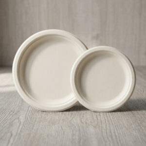 Bagasse Plates