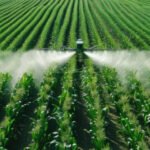 Types of Agricultural Chemicals and Their Uses in Modern Farming