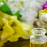 The Chemistry of Aroma: How Specialty Solvents and Intermediates Shape Flavours and Fragrances