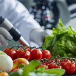 The Critical Role of Food-Grade Solvents and Ingredients in Nutrition